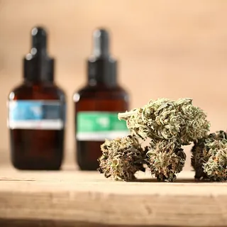 articulos cbd y marihuana